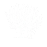 Logo Árbol